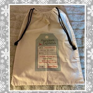 Reindeer Express Mail Christmas Gift Bag